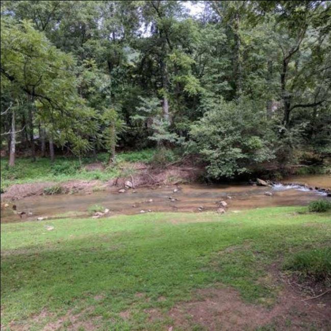 Reedy Patch Cabin Villa Hendersonville Dış mekan fotoğraf